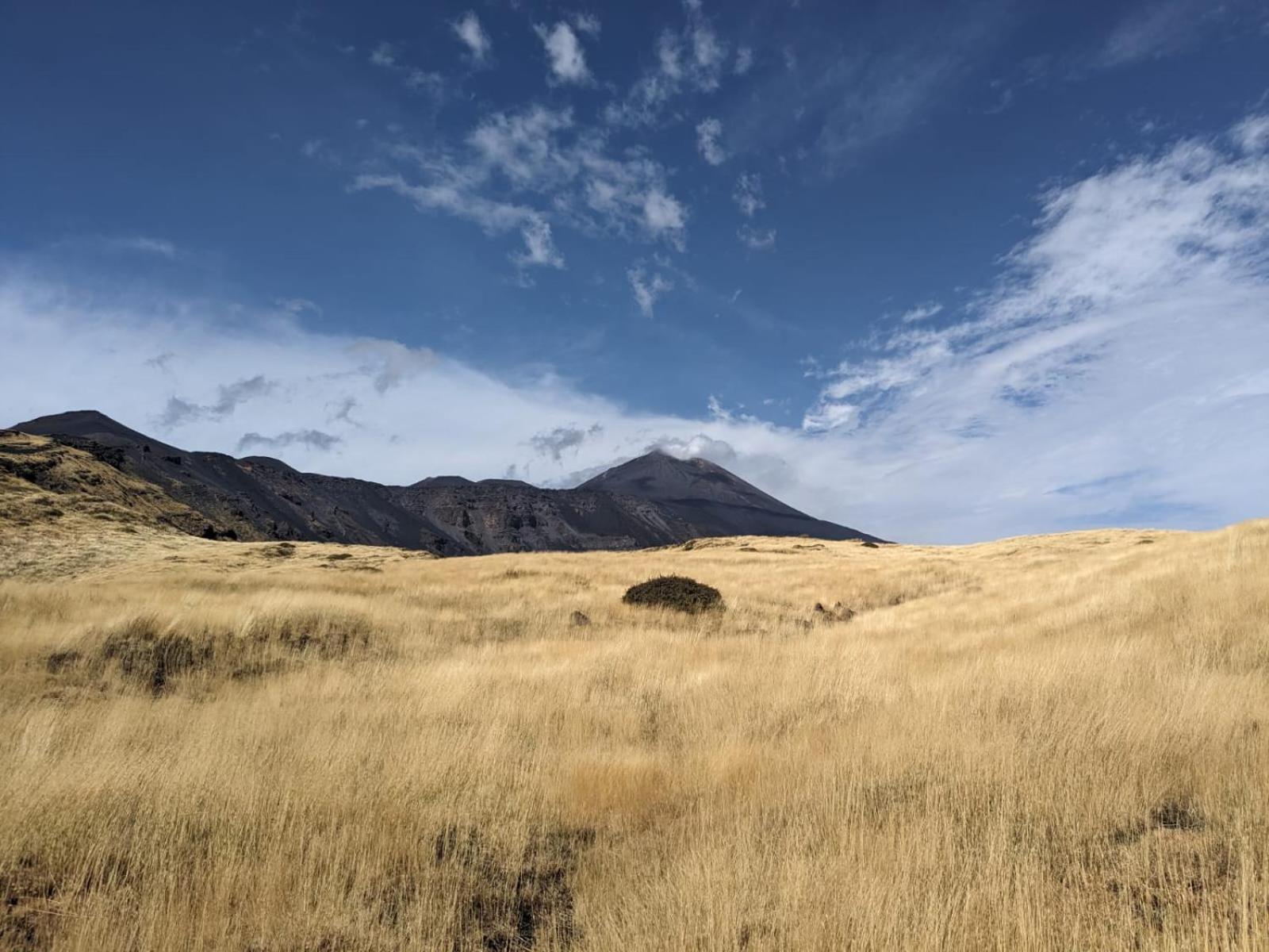 Attico Sul Porto Di Catania E Vista Vulcano ภายนอก รูปภาพ